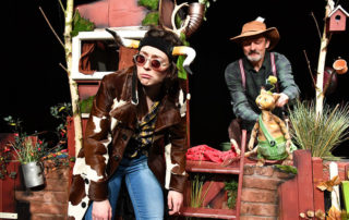 Piccolo Petterson Findus